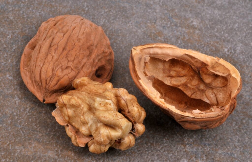 réutiliser coques noix